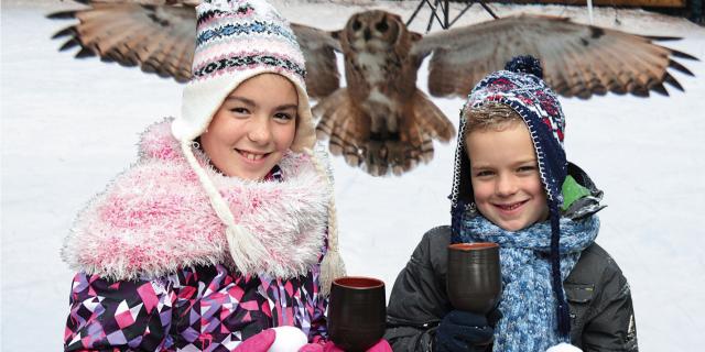 Winter ijsbaan roofvogels.jpg